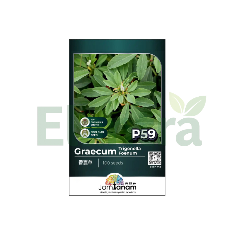P59 GRAECUM TRIGONELLA FOENUM